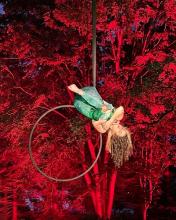 Botanic gardens lit up with an aerial dancer